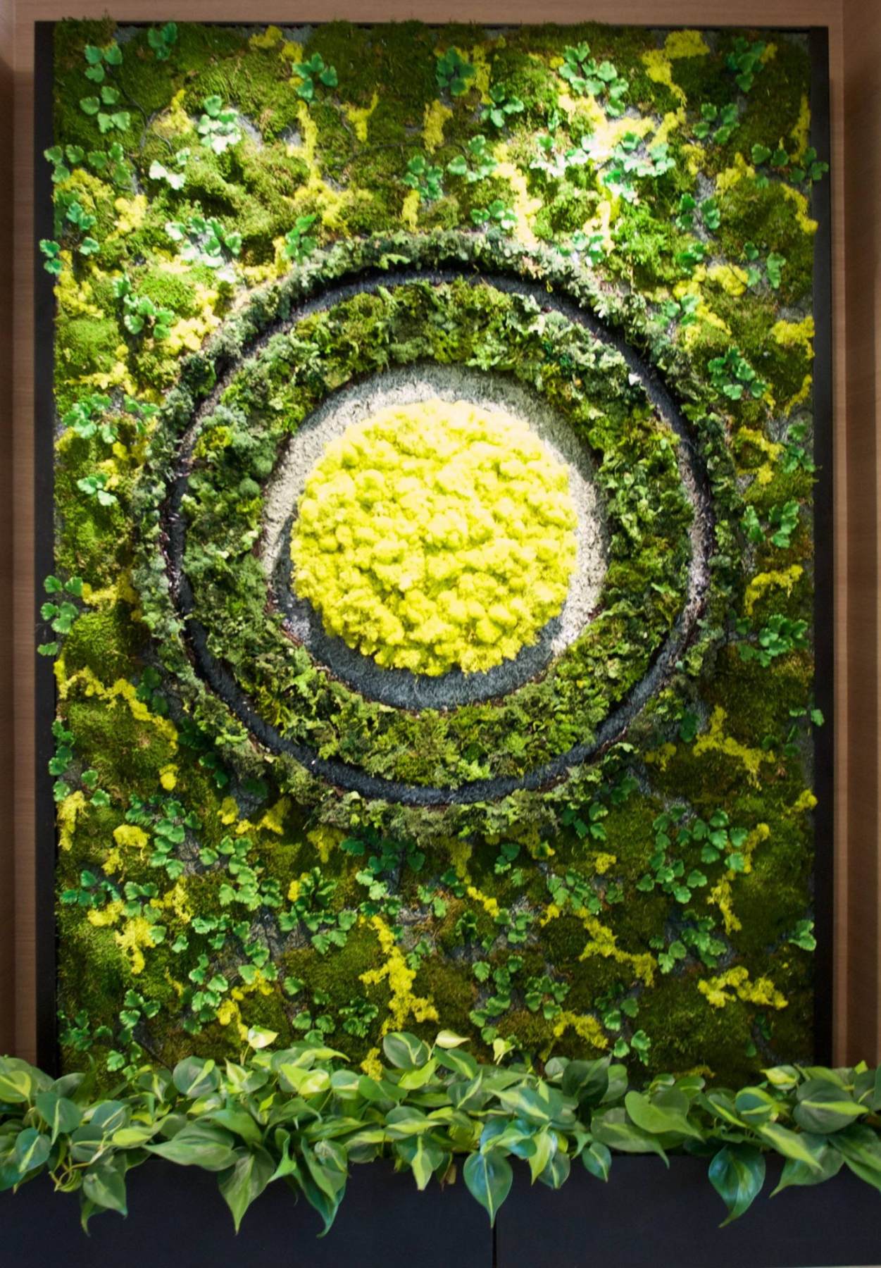 Moss Wall & Green Wall Galore!