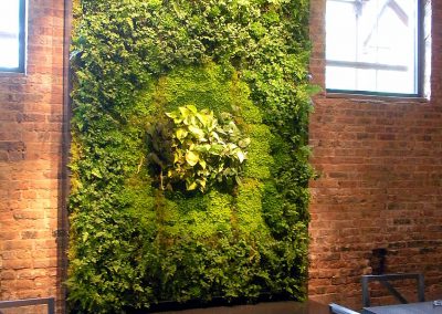 Green Walls