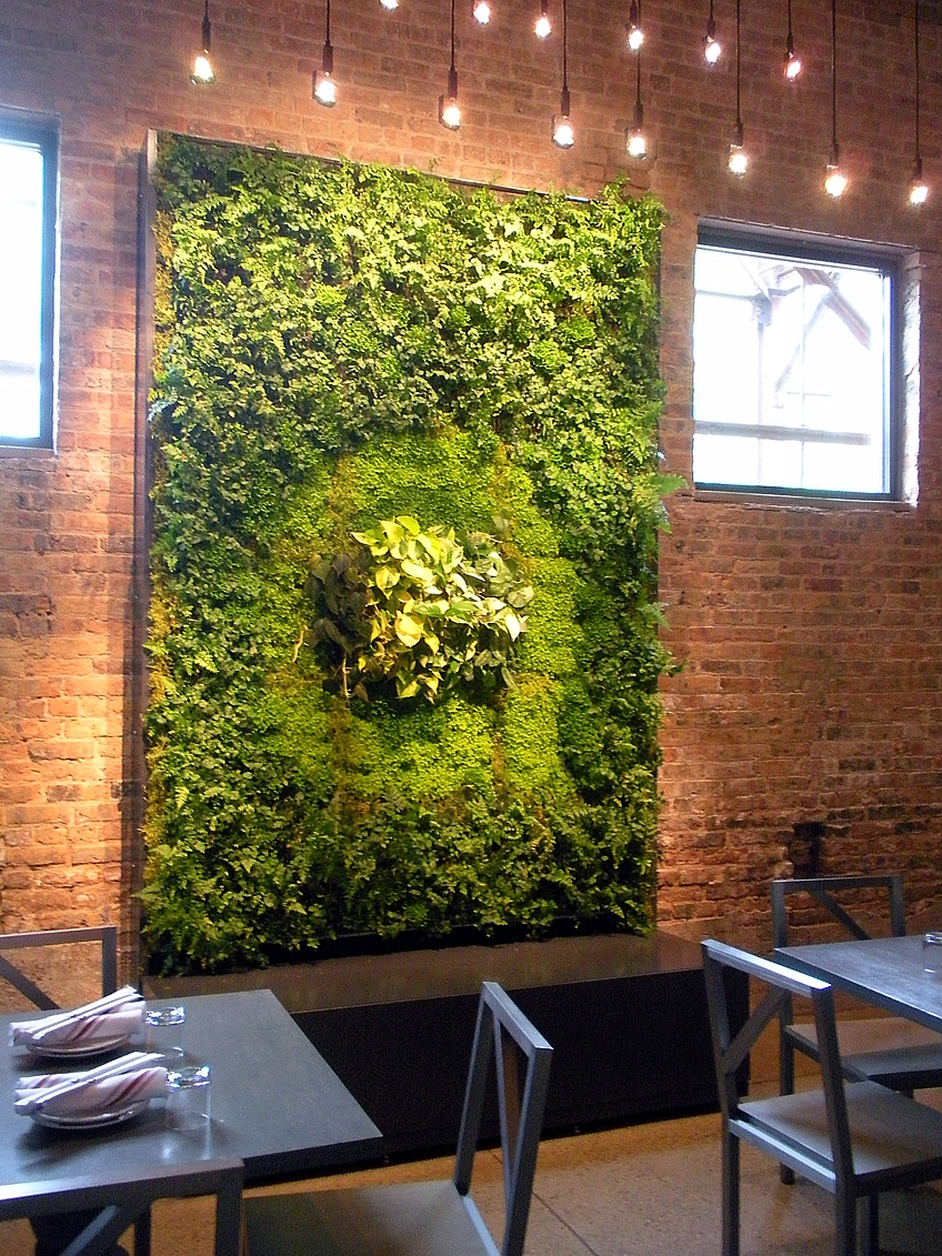 outdoor moss wall on Green Walls Living Walls Vertical Gardens Wall Gardens Phillip S Interior Plants Displays Chicago Il
