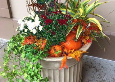 Exterior & Seasonal