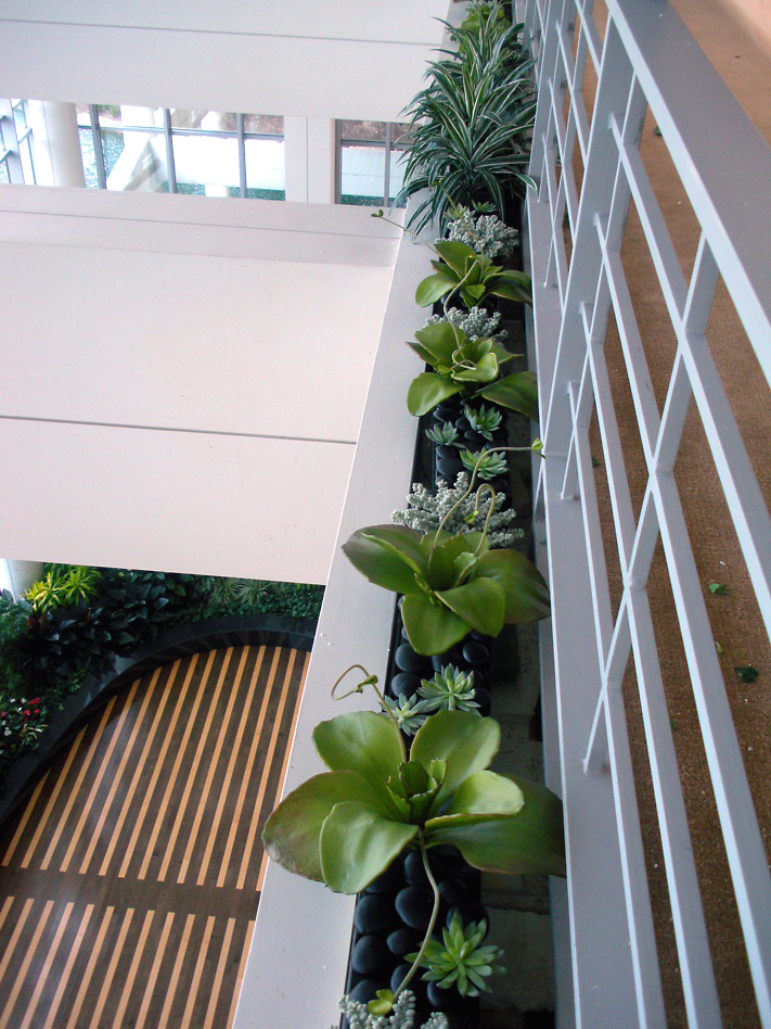 Silk Office Plants and Silk Flowers for Businesses Chicago & Suburbs