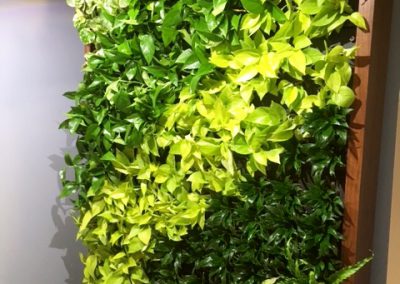 Green Walls