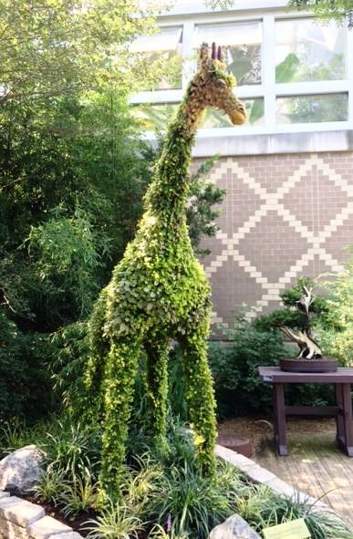Cultivate 2017 Franklin Conservatory Photos!