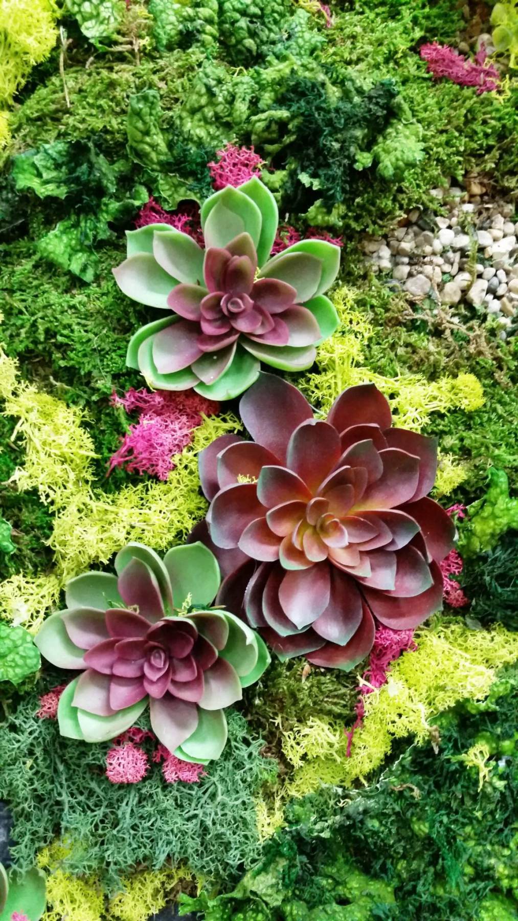 Green Walls, Moss Walls, Beautiful Art, Oh My!
