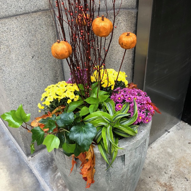 Exterior & Seasonal