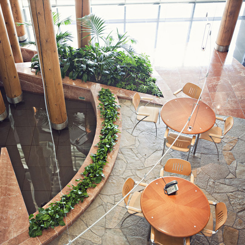 Interior Plants