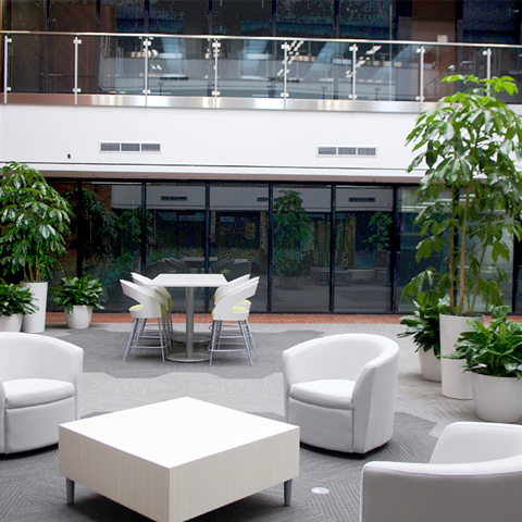 Interior Plants (OLD)