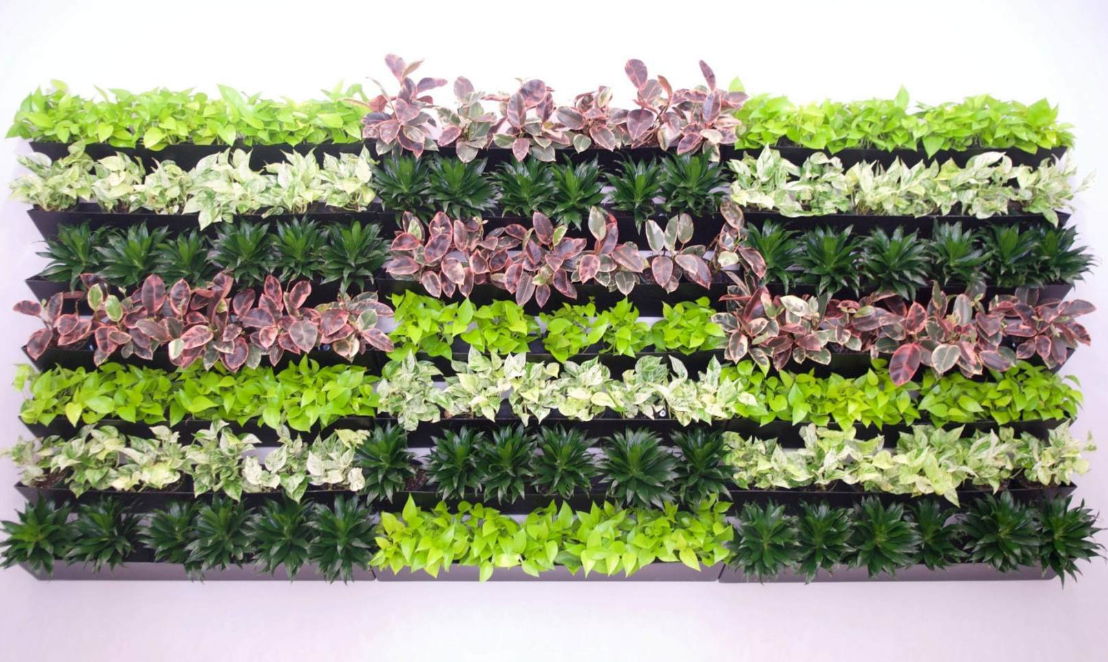 Green Walls