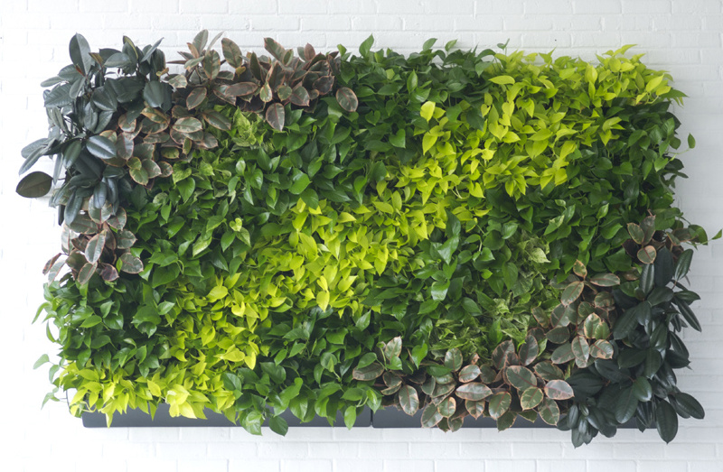 Green Walls