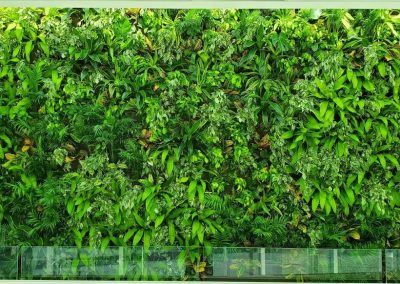 Green Walls