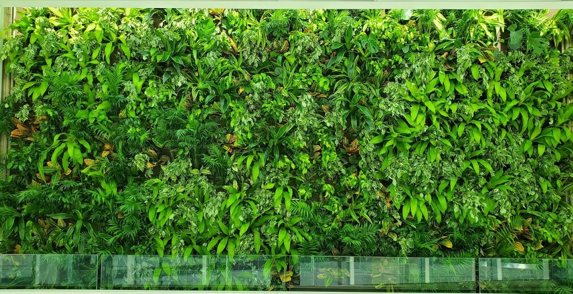 Picture of Green Walls - Design, Installation & Maintenance | Chicago & Suburbs