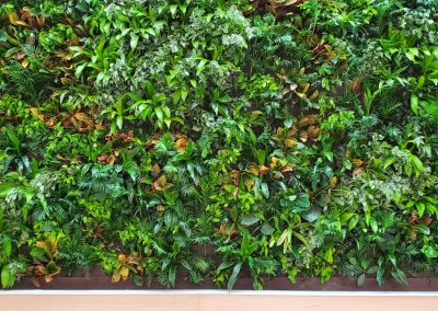 Green Walls