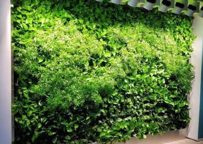 Green Walls