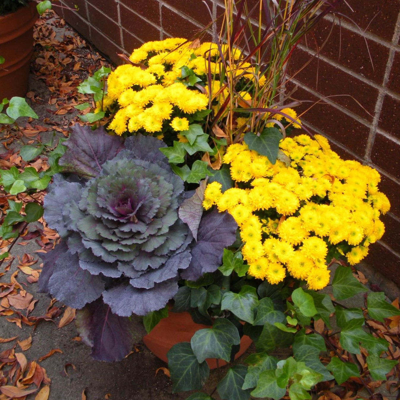 Fall Decor For the Home or Office - How To Make the Most of the Changing Season