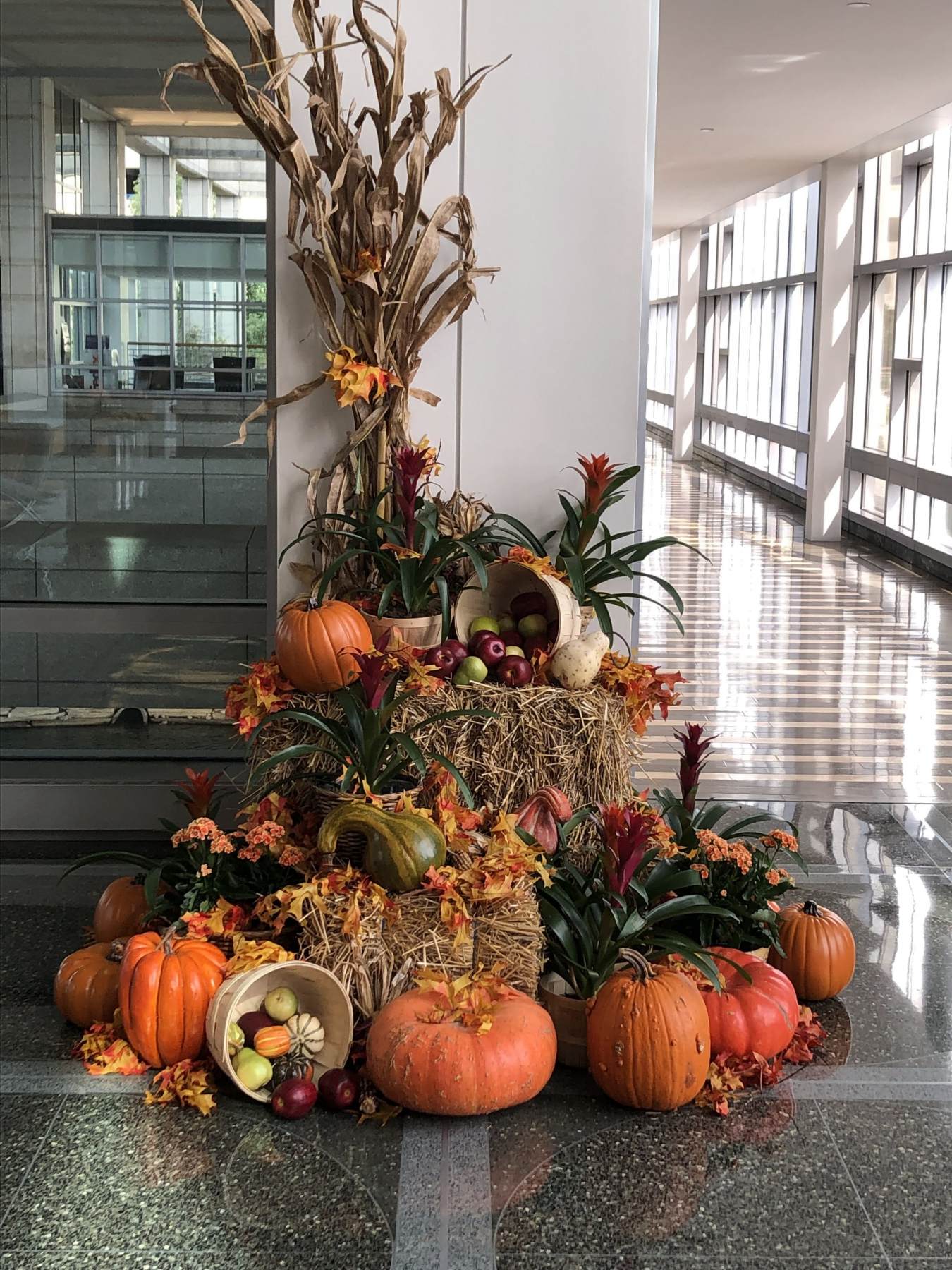 Fall Decor For the Home or Office - How To Make the Most of the Changing Season