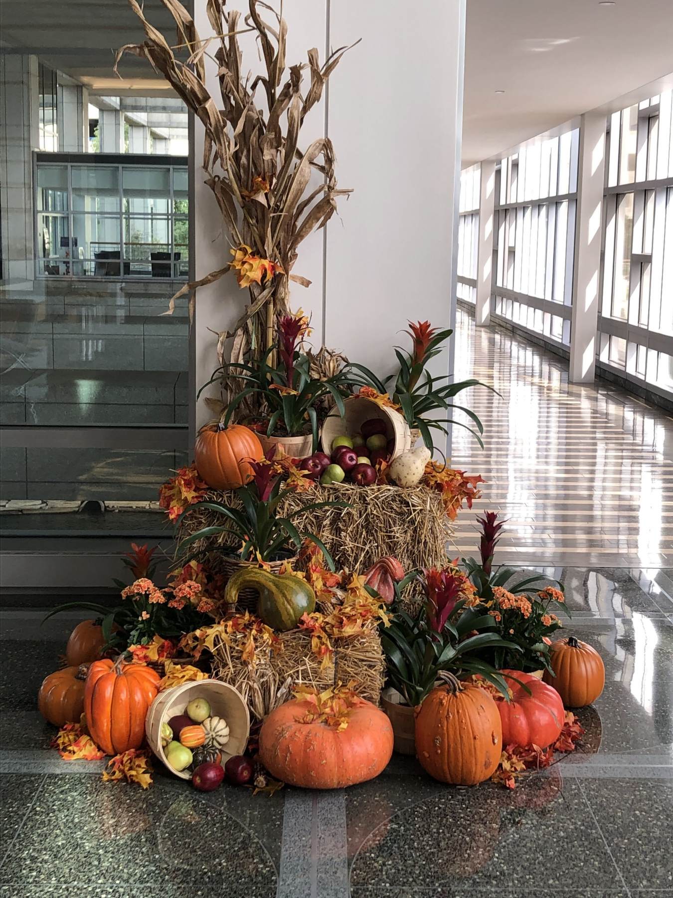 Fall Decor Ideas For Office