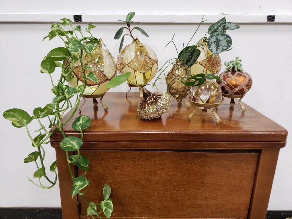Phillip's Designer Extraordinaire Sue Z on Life in a No Pinterest Fail Zone