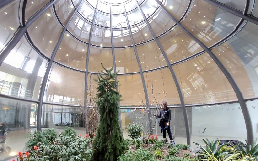 Award-Winning Redesign of Three-Story Terrarium