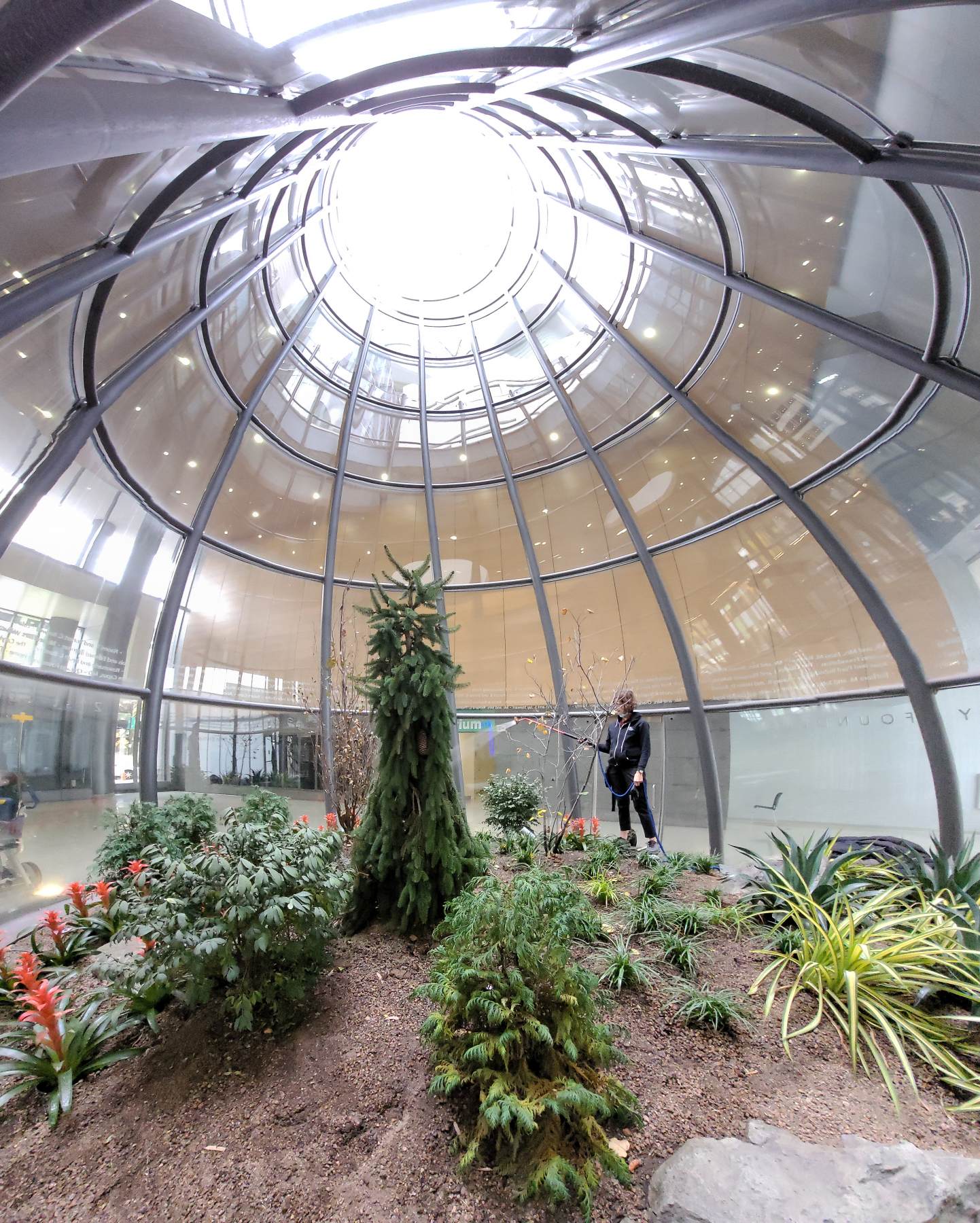 Award-Winning Redesign of Three-Story Terrarium