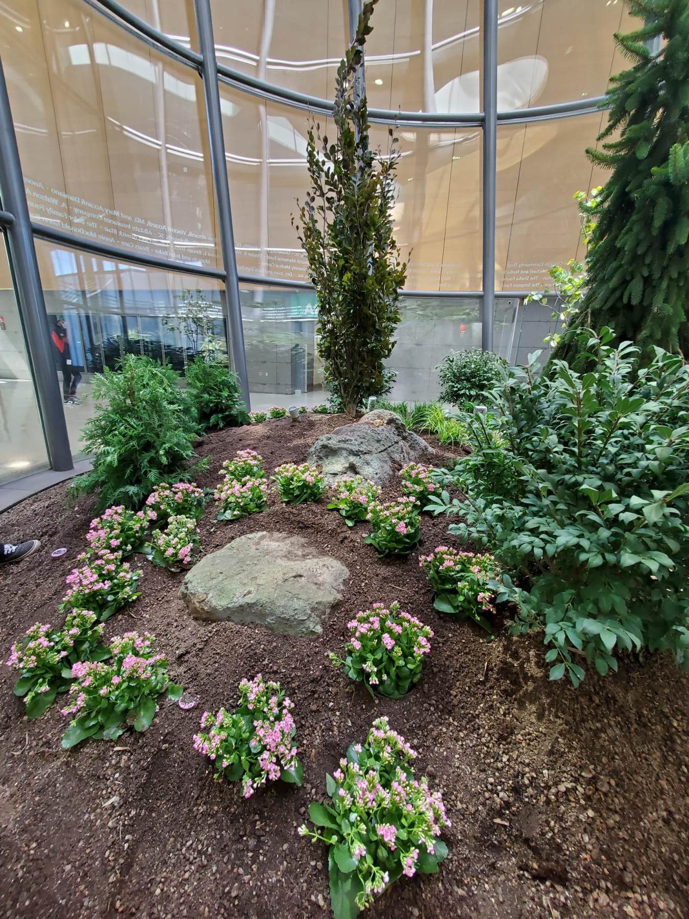 Award-Winning Redesign of Three-Story Terrarium