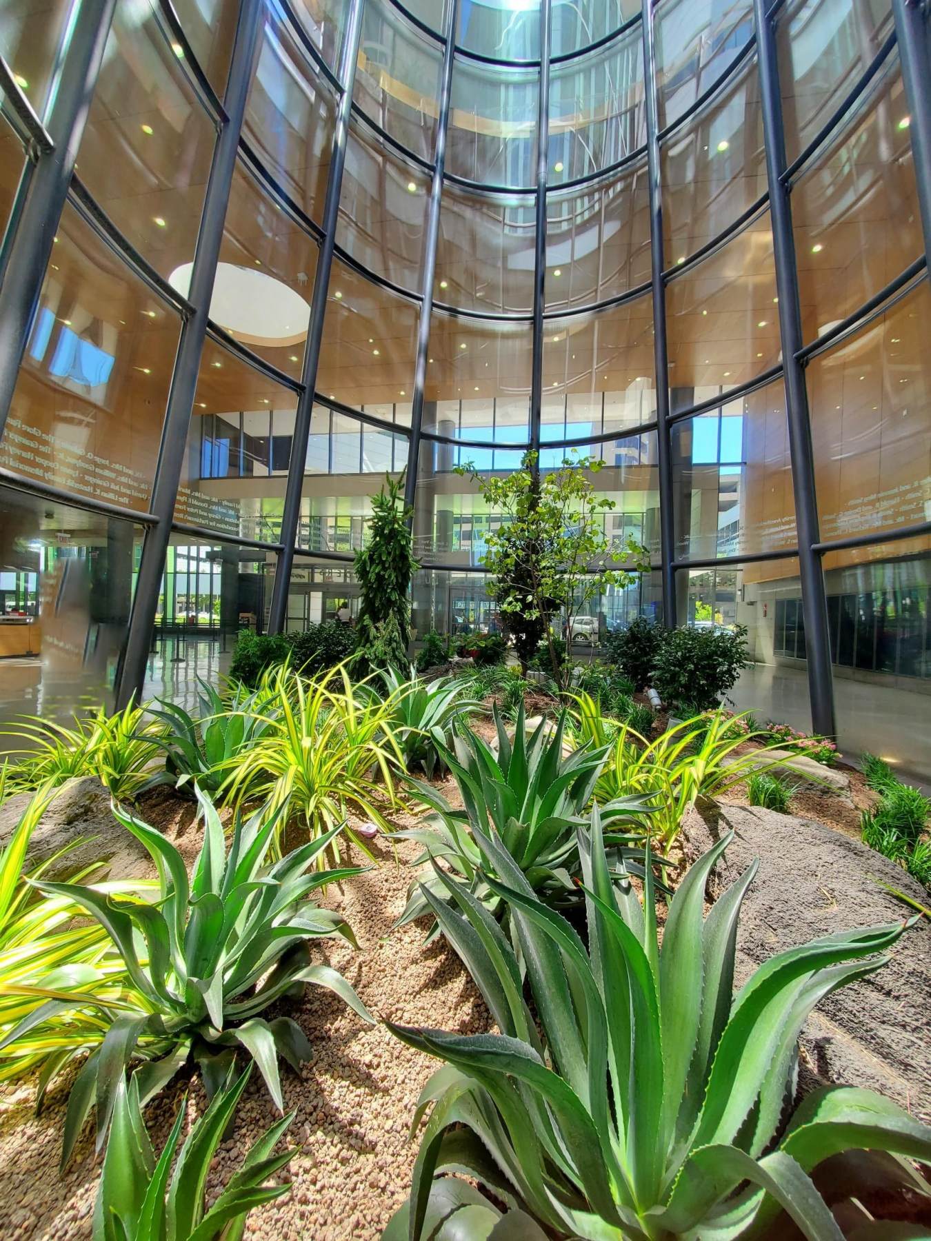 Award-Winning Redesign of Three-Story Terrarium